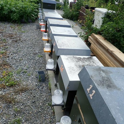 feb3ca3b-3185-4262-a3ba-16f4e111cde7.JPG Bee hive feeder