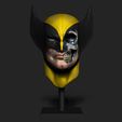 2.jpg WOLVERINE LOGAN