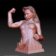 WonderWoman_0023_Layer 10.jpg Wonder Woman Gal Gadot 3d print bust
