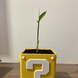 IMG_1426.jpeg Super Mario Plant Pot