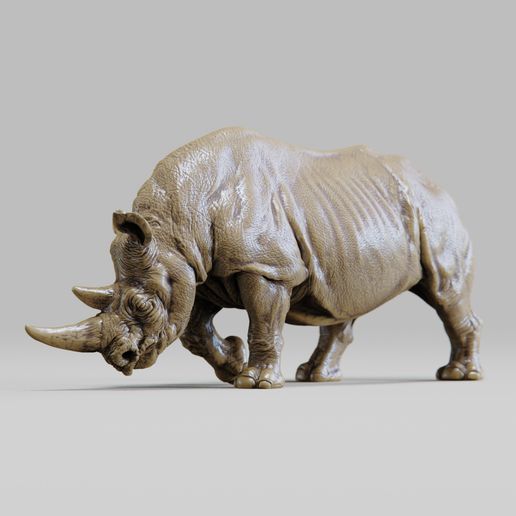 A0003.jpg Rhinoceros