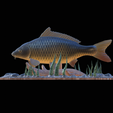 carp-high-quality-klacky-1-9.png big carp 2.0 underwater statue detailed texture for 3d printing