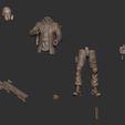 IMG-20200224-WA0006.jpg Soldier Darkzone agent STL 3D print model