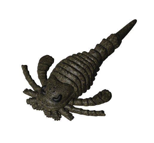 Eurypterus.png Eurypterus