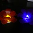 P1000253.JPG Lotus Flower Tea Light