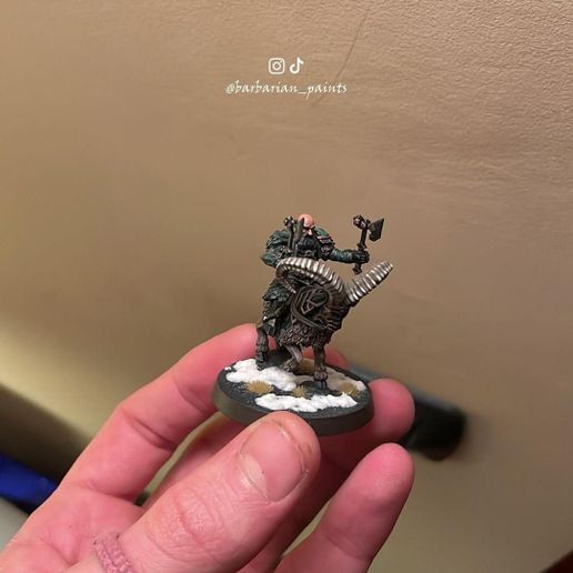 photo_2024-03-24_23-20-44.jpg Royal Guard of Lovely Mountain 02( war veterain)