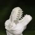 28783292_1595833487120426_1382807709274865664_n.jpg STL file T-rex Tyrannosaurus・3D printing design to download