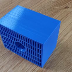 IMG_20190301_175206.jpg Free STL file Asian Hornet Trap・3D print object to download