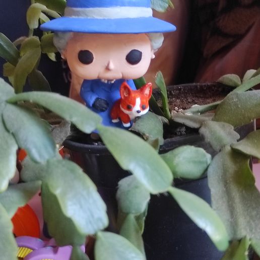 Funko POP! Queen Elizabeth II & Corgi Buddy: Royal Ghana