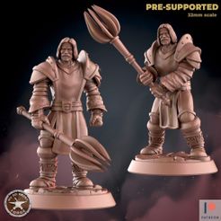Paladin00.jpg Файл 3D Паладин Командор Две модели・Модель для загрузки и 3D печати