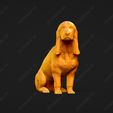832-Basset_Bleu_de_Gascogne_Pose_06.jpg Basset Bleu de Gascogne Dog 3D Print Model Pose 06