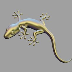 IMG_1087.JPG Decorative Lizard