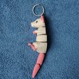 IMG_20240516_141434029.jpg Ratte Schlüsselanhänger