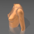 07.png STL file Bust 01・3D printer model to download