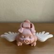 Nice Flying Pig