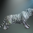 0_00051.png TIGER TIGER - DOWNLOAD TIGER 3d model - animated for blender-fbx-unity-maya-unreal-c4d-3ds max - 3D printing TIGER TIGER - CAT - FELINE - MONSTER - RAPTOR PREDATOR