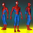 Spiderman Anatomy 1.jpg Spiderman Anatomy