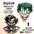 The-Jokers-Asylum.jpg The Joker Batman Multicolor Wall Art Ledger Arkham Asylum Phoenix