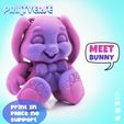 Shot-g.jpg Flexy Honey Bunny Duo Easter Bunnies Print In Place No Support