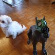 Perros de guerra x3
