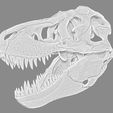 Skull-Tyrannosaurus.jpg Tyrannosaurus Rex Skull
