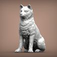 shiba-inu7.jpg shiba inu 3D print model