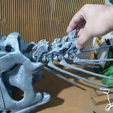 20241114_202257.jpg Череп карнотавра 30 см 3d печать 3d модель