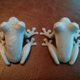 IMG_20131212_110158.jpg PLA frogs with and without cooling fan (experiment)