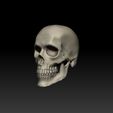 ZBrush-Document.jpg Regular Human Skull - Detachable Jaw