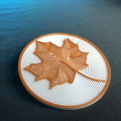 IMG_9100.jpg Maple Leaf Coaster
