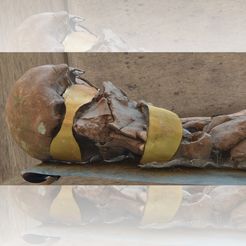 4-2.jpg Ancient Human Skeleton