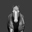 horse-3d-model-098698e515.jpg Horse 3D print model
