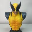 IMG_0053.jpg Wolverine