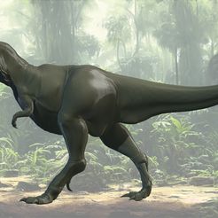 13.jpg Tyrannosaurus Rex: 3D sculpture