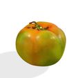 2.jpg TOMATO FRUIT VEGETABLE FOOD 3D MODEL - 3D PRINTING - OBJ - FBX - 3D PROJECT TOMATO FRUIT VEGETABLE FOOD TOMATO