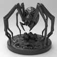untitled.17.jpg Weaver-Giant Spider