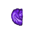 artery to brain - STL3__phong_diffuse_colo.stl 3D Model of Canine Brain with Arteries