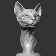 01.png Sphynx Cat Head AM08 3D print model