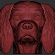 20.jpg Spaniel Cavalier dog head for 3D printing