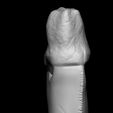 Hole 3.jpg Tyrannosaurus tooth pendant (with a free extra variation)