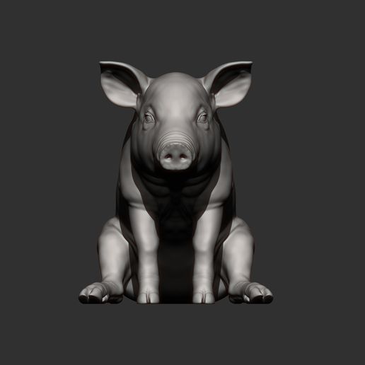 Baby-pig-sitting6.jpg Baby pig sitting 3D print model