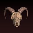 11.jpg Goat Skull