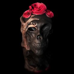 ShopA.jpg Calavera Calavera Rosa 2 variantes