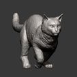 running-cat13.jpg running cat 3D print model