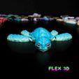 sea-turtle-4.jpg Flex 3D Sea Turtle