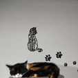 0b69afea-60c6-4345-82d2-84e9ecf1ff30.jpg Cat's Footprint - Huella de gato - Cat's Footprint