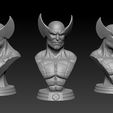 Preview-1.jpg Wolverine Bust STL