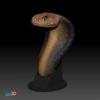 STL-00018-Königskobra_Paint.jpg Ophiophagus hannah-king cobra snake