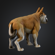 Screenshot-2025-10-19-at-5.32.11 PM.png Hyper/ultra realistic dog