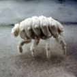 isp9-0.jpg Articulated Predominant Isopod BJD Kit 3D STL Files with & without sprues.